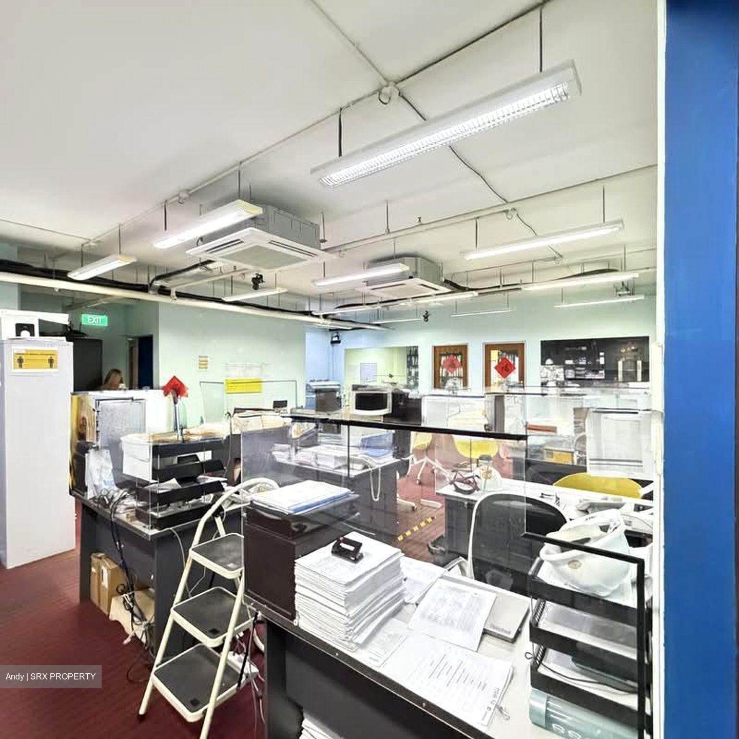 Primax (D19), Factory #539362961